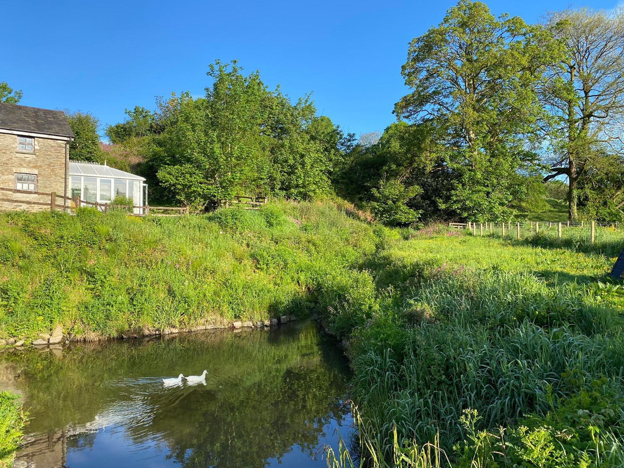 Granary Cottage St Clears Meidrim Exterior photo